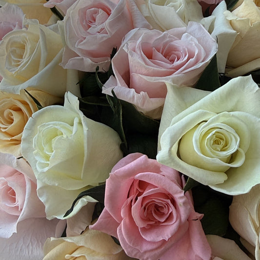 close up of pink and white mini roses arranged tightly in a dome inside the white hat box