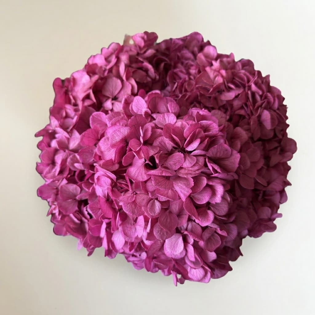 Hydrangeas in Tall Woven Vase