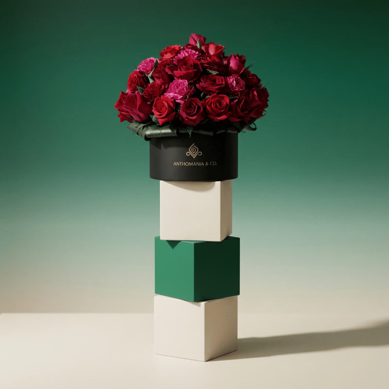 Bloom in a Box