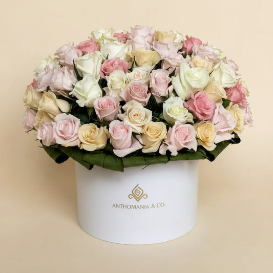 mini roses front view showing pink and white roses arranged in a dome shape inside a large white hat box