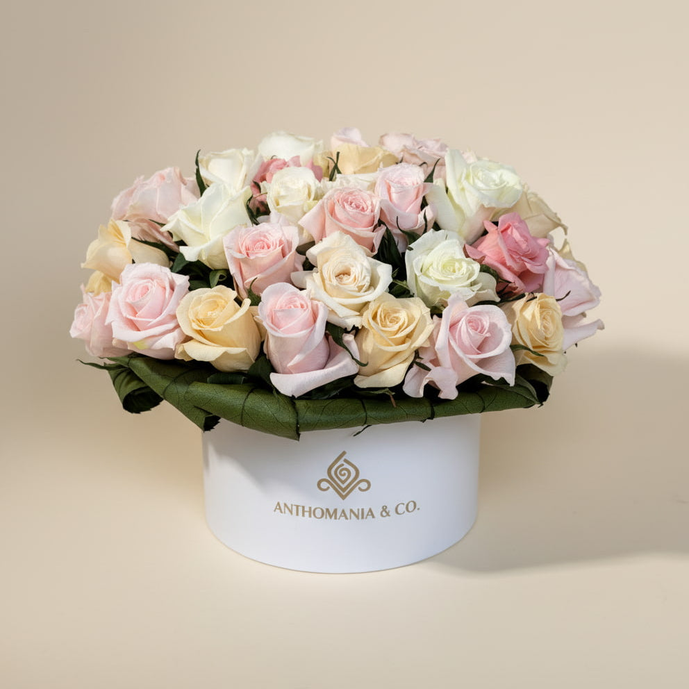 mini roses front view showing pink and white roses arranged in a dome shape inside a small white hat box
