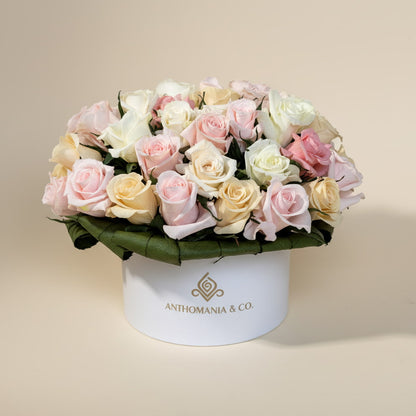 mini roses front view showing pink and white roses arranged in a dome shape inside a small white hat box
