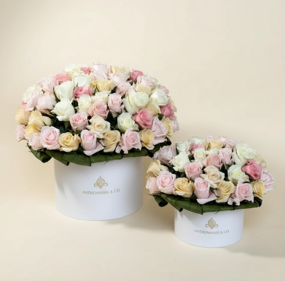 small white mini roses box placed next to a larger white hat box with matching pink and white dome roses

