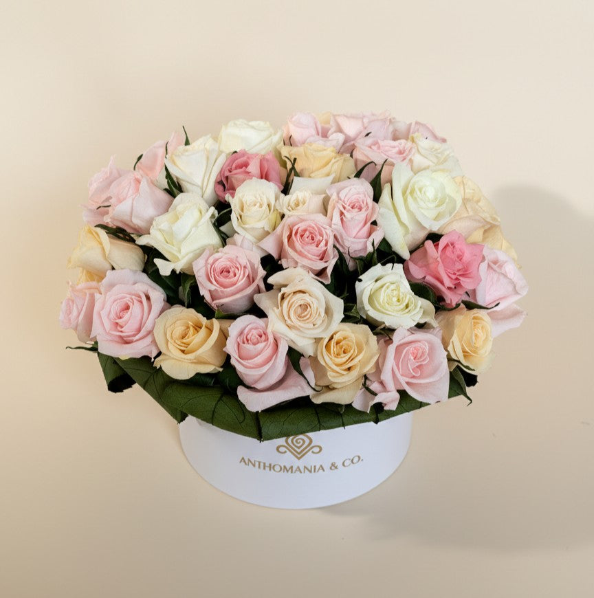 side view of mini roses in a white small hat box with pink and white blooms forming a rounded dome
