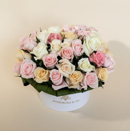 side view of mini roses in a white small hat box with pink and white blooms forming a rounded dome
