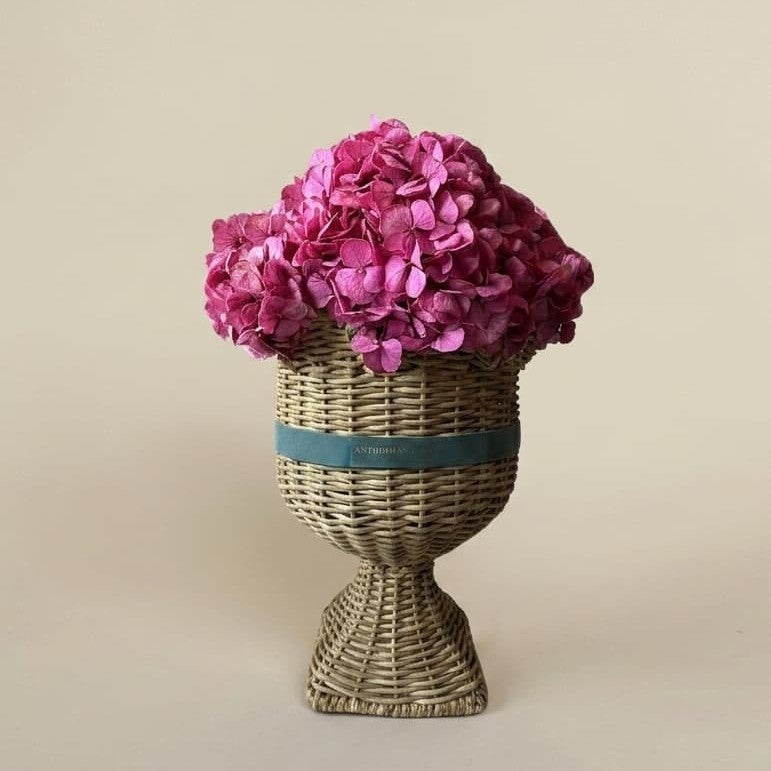 Hydrangeas in Tall Woven Vase