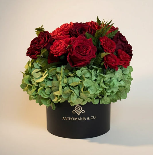 hydrangeas and roses front view showing red roses and light green hydrangeas in a black small hat box

