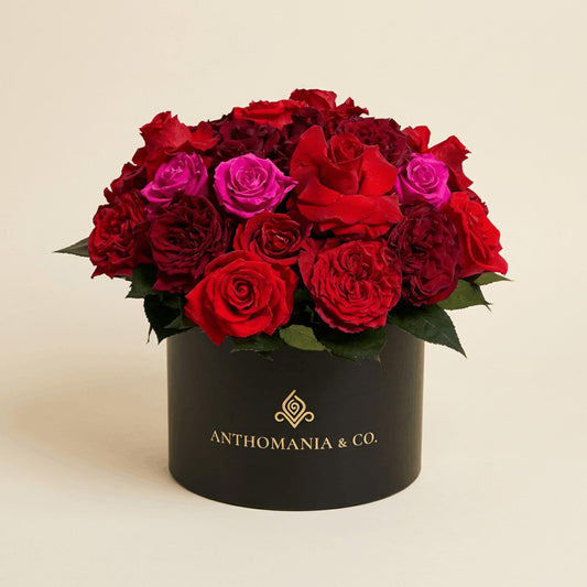roses front view showing red and hot pink blooms arranged in a dome inside a large black hat box