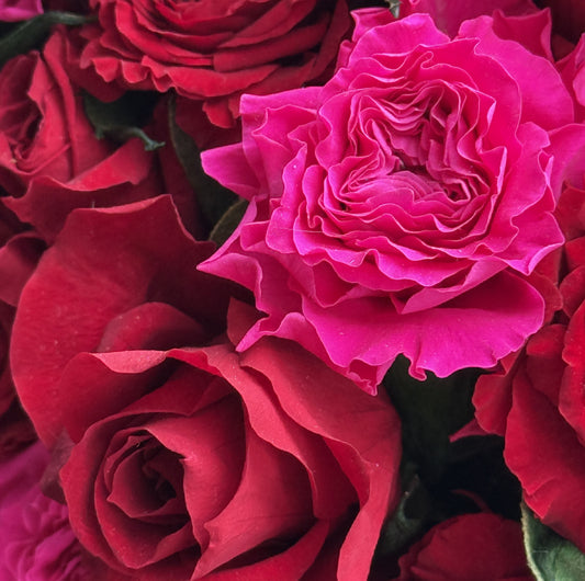 close up of mini roses forming a rounded dome in the small black hat box